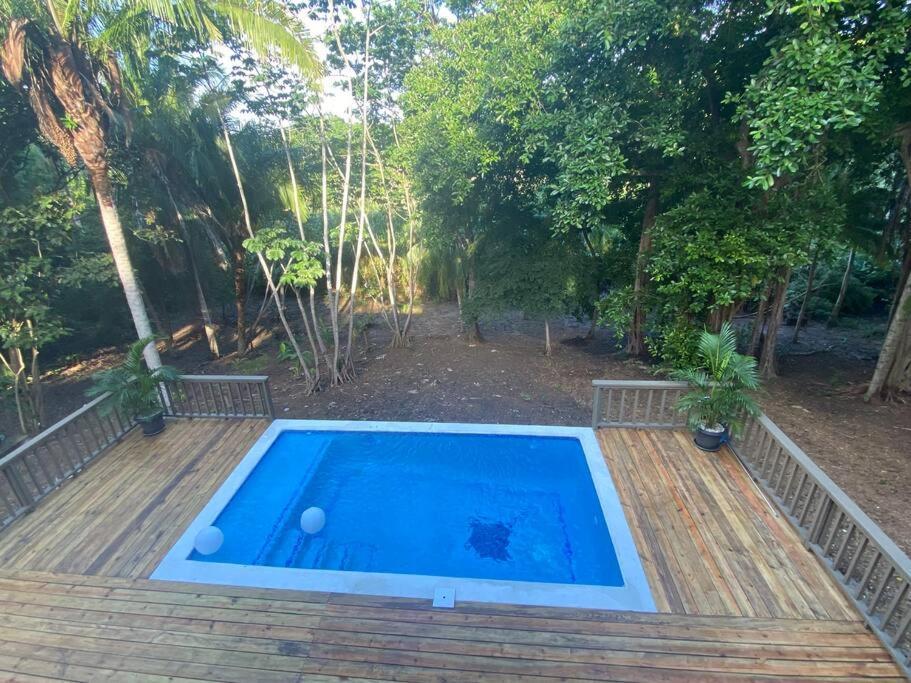 Destinations Roatan With Private Pool Apartment Palmetto Bay ภายนอก รูปภาพ