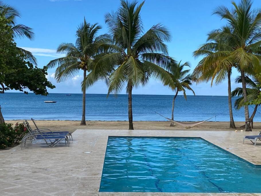 Destinations Roatan With Private Pool Apartment Palmetto Bay ภายนอก รูปภาพ